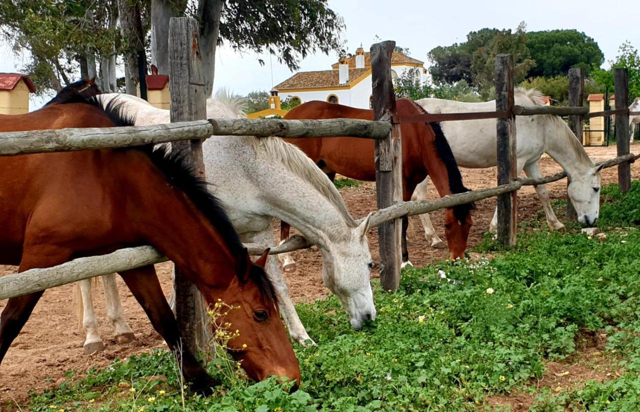 Posada Rural La Corbera Utrera Bagian luar foto
